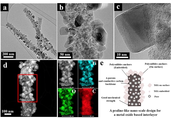 Electron Microscopy images for investigating the nano-scale design of materials_Cheng-Yen Lao, MPhil Thesis, University of Cambridge