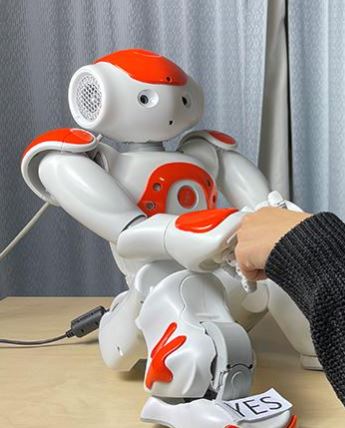 Nao robot