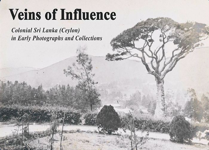 Veins of Influence book cover
