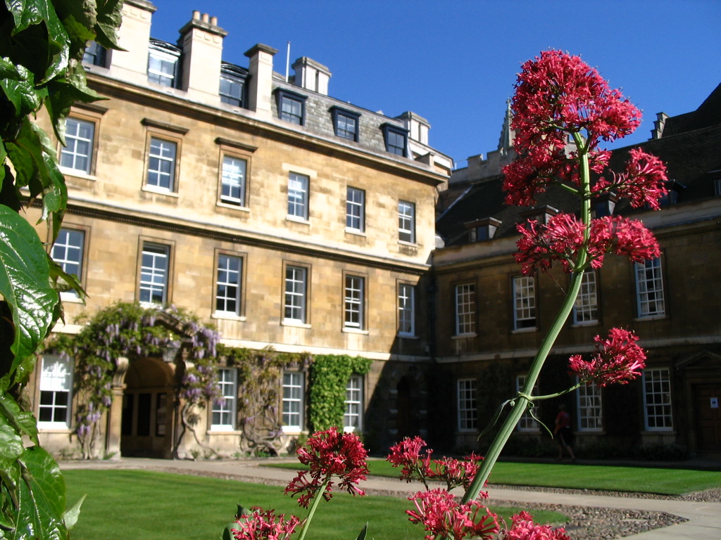 Central Site, Front Court buildings