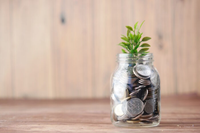 Jar containing coins and a sprouting plant