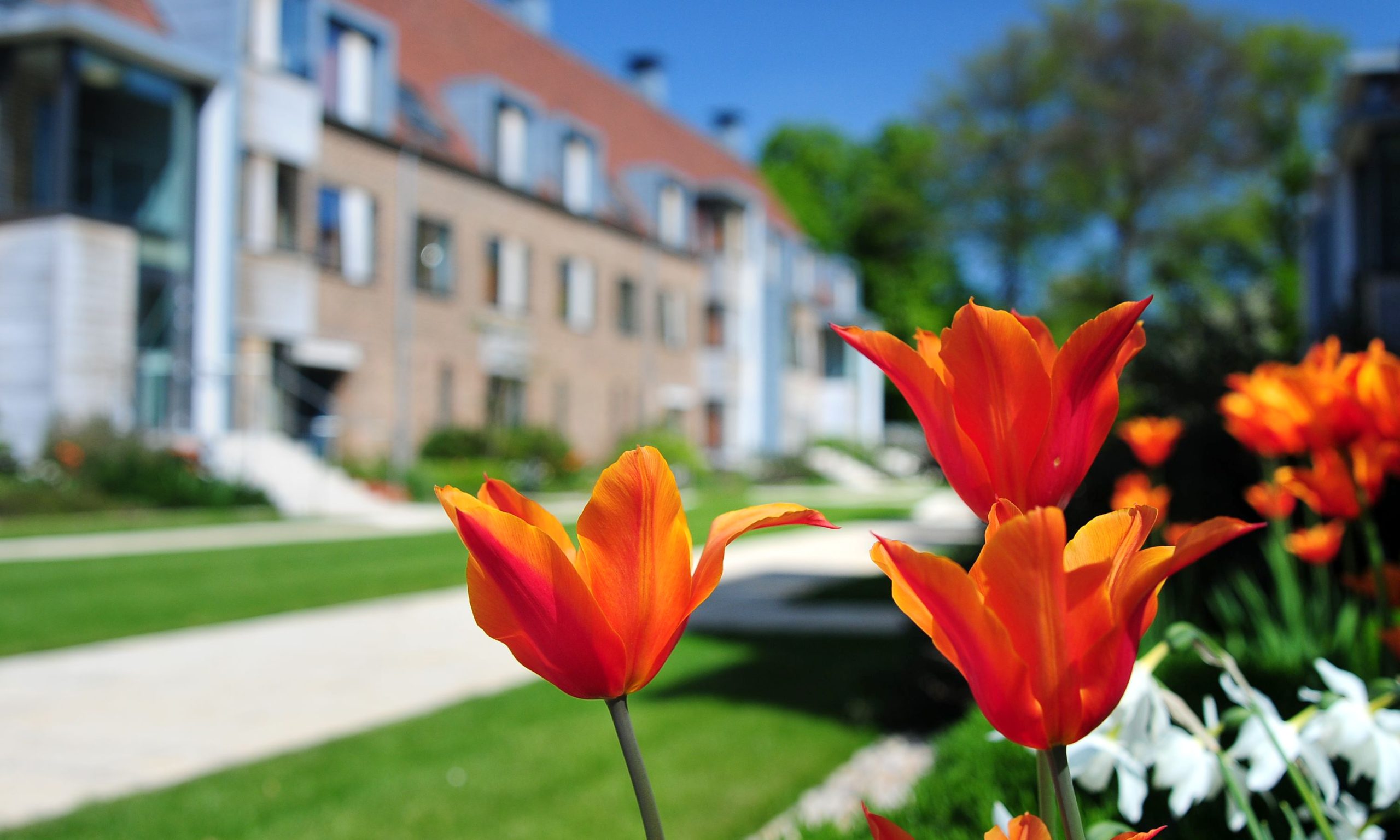 phd student accommodation cambridge