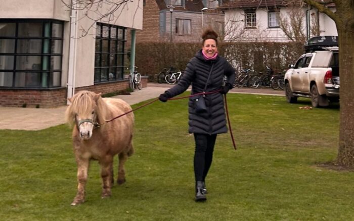 Head of Wellbeing, Lisa Dery, walking a horse at the Trinity Hall mobile farm.