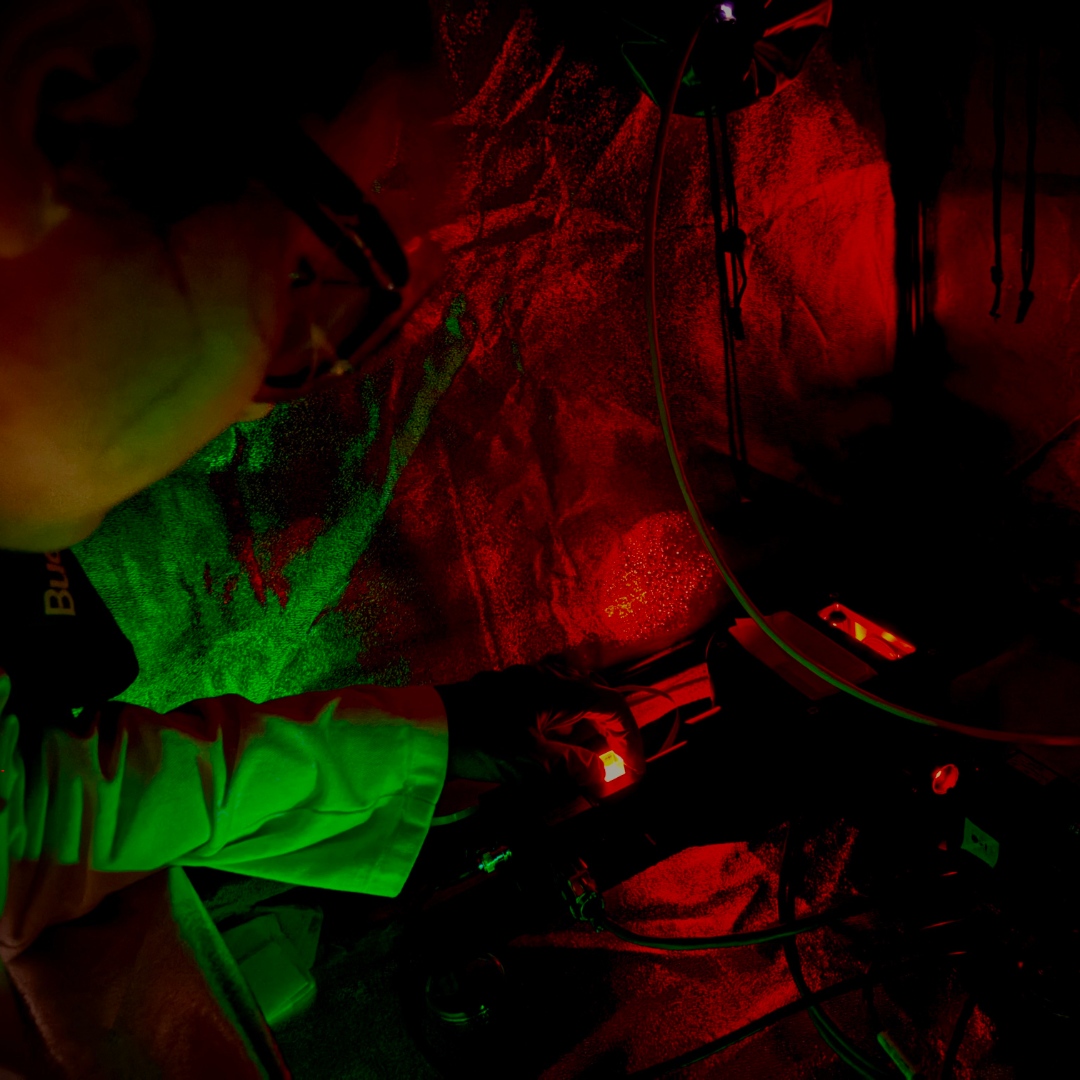 Elizabeth looking for the fluorescent dye in a dark box in the Zhang lab.