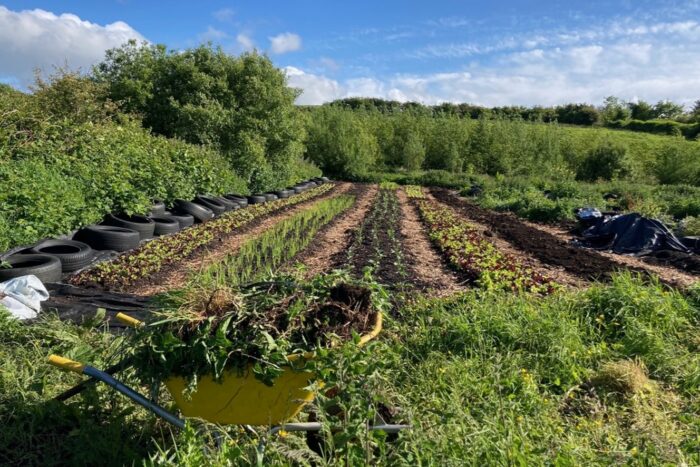 Lucy Harding standing looking out over Moy Hill Farm.