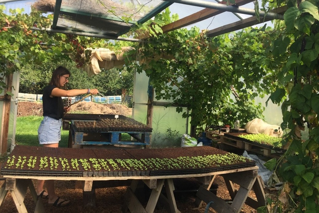 Lucy Harding working in a greenhouse with a Moy Hill Farm member, planting seeds.