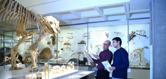 Supervisor and student in Zoology musuem