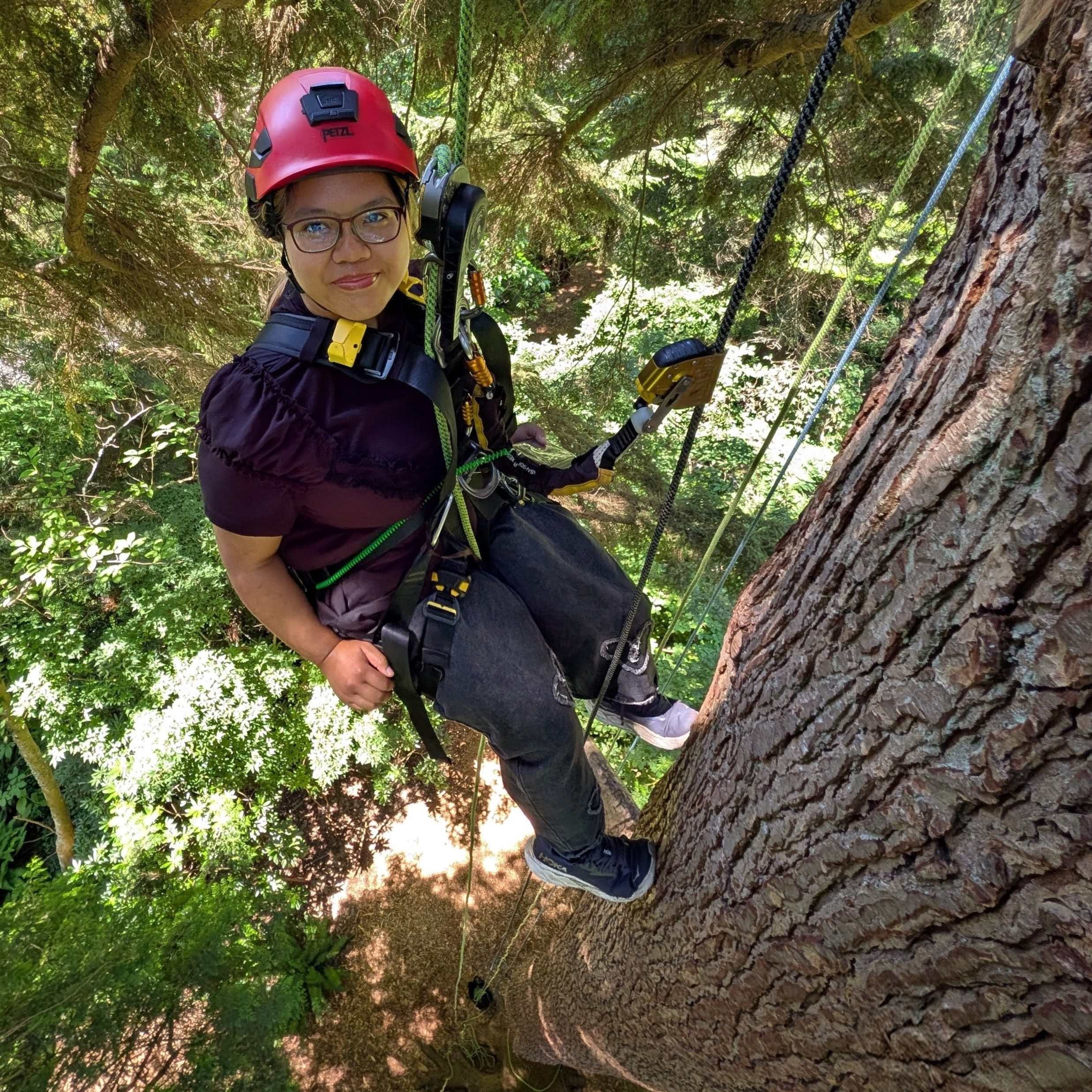 Student Amalina Saifulmazli is abseiling from a tree